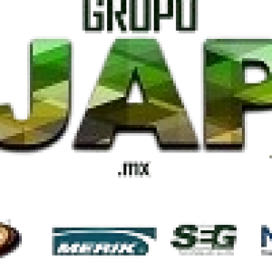 Motor Corredizo DZ CUSTOM 300 Kgs Analogico - Imagen 4